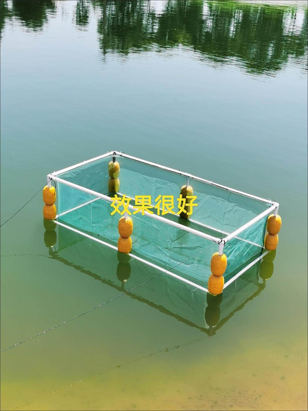 逸轩鱼网