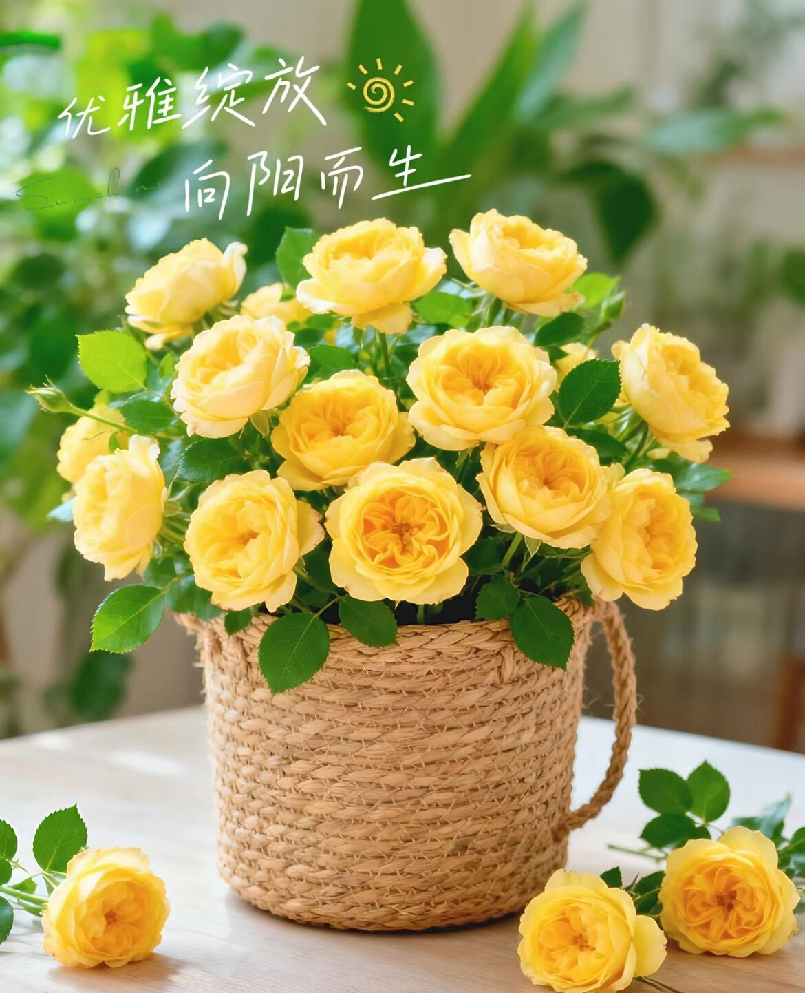 海星电子产品
