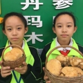 小哈东北绿色山产品