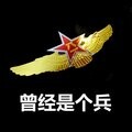 银装甲车饰