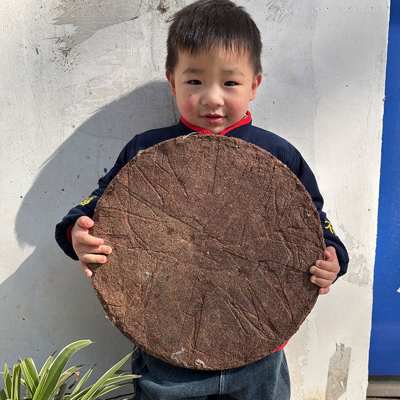 江西茶枯