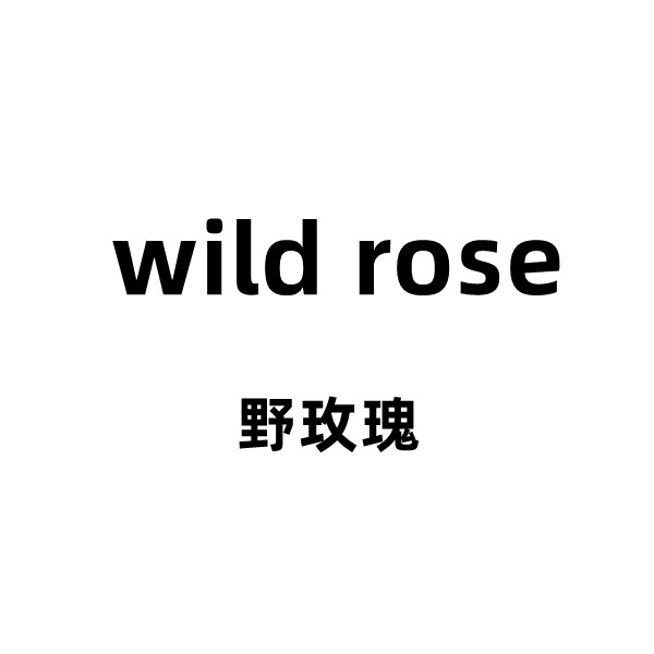 野玫瑰wild rose 设计女装
