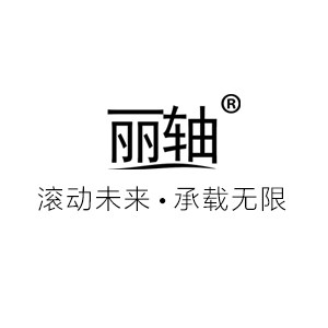 丽轴自动化科技
