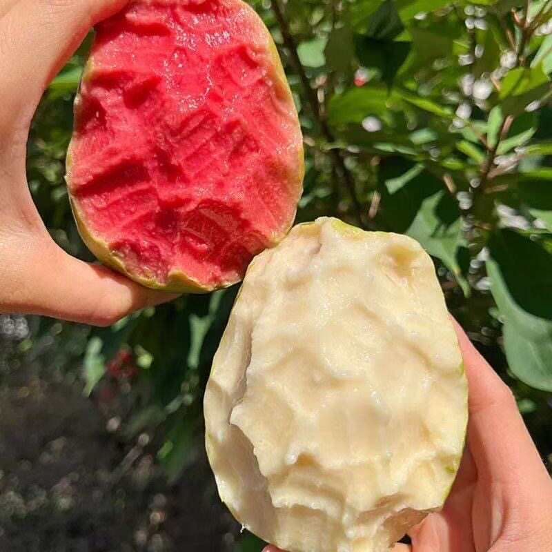 缤果天下