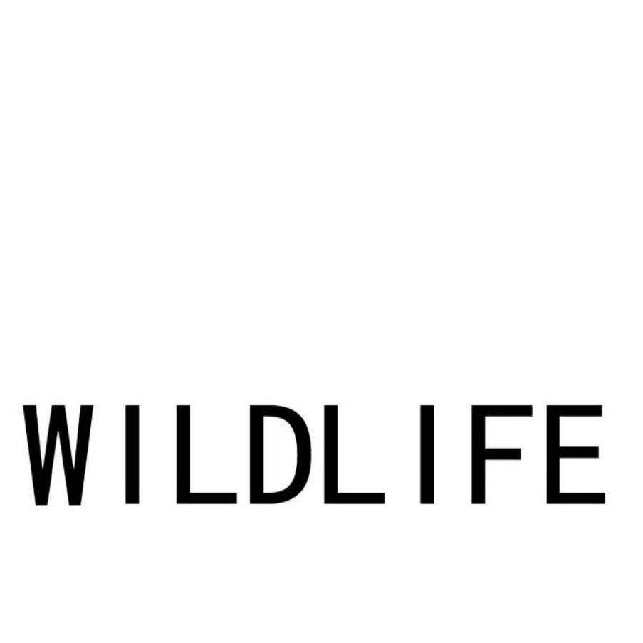 WILDLIFE 野物