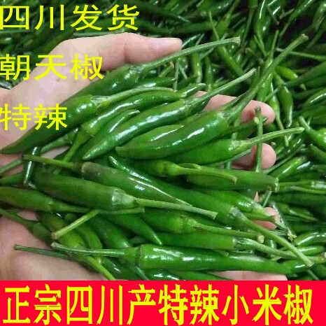 彭大生鲜