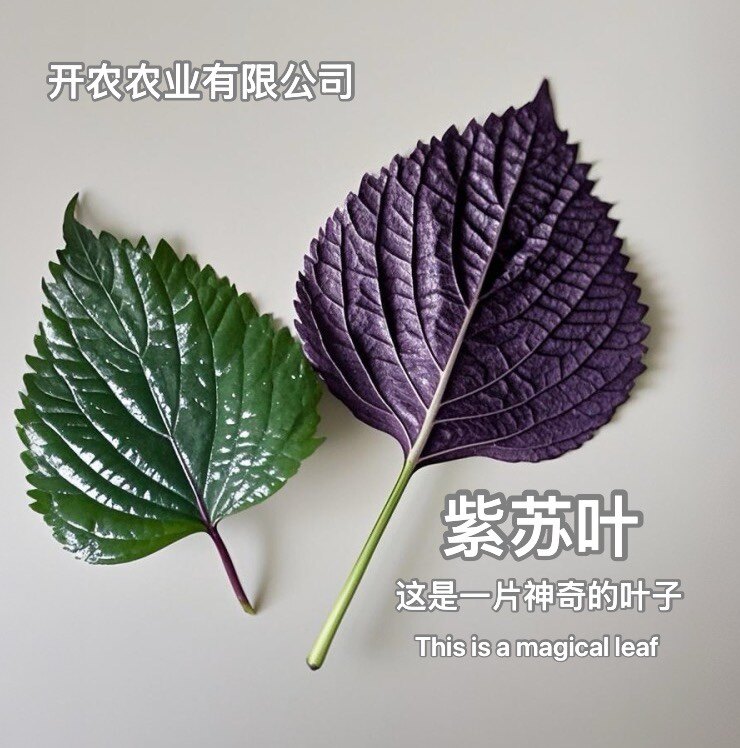 开农农业有限公司
