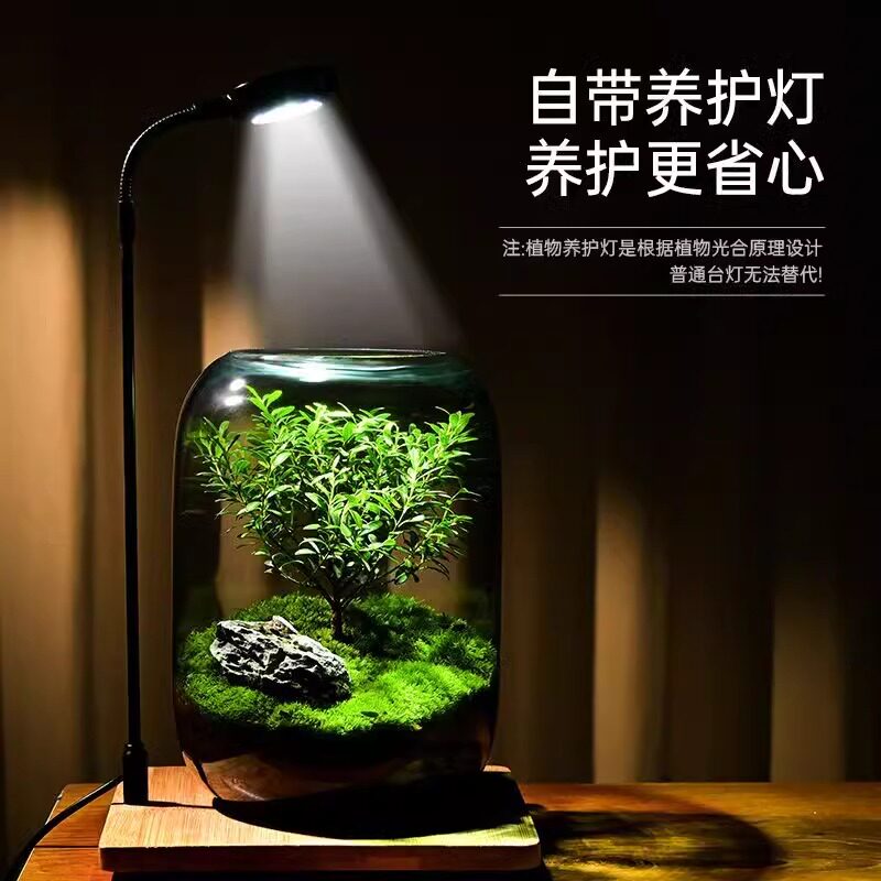 鱼隐花溪生态微景观