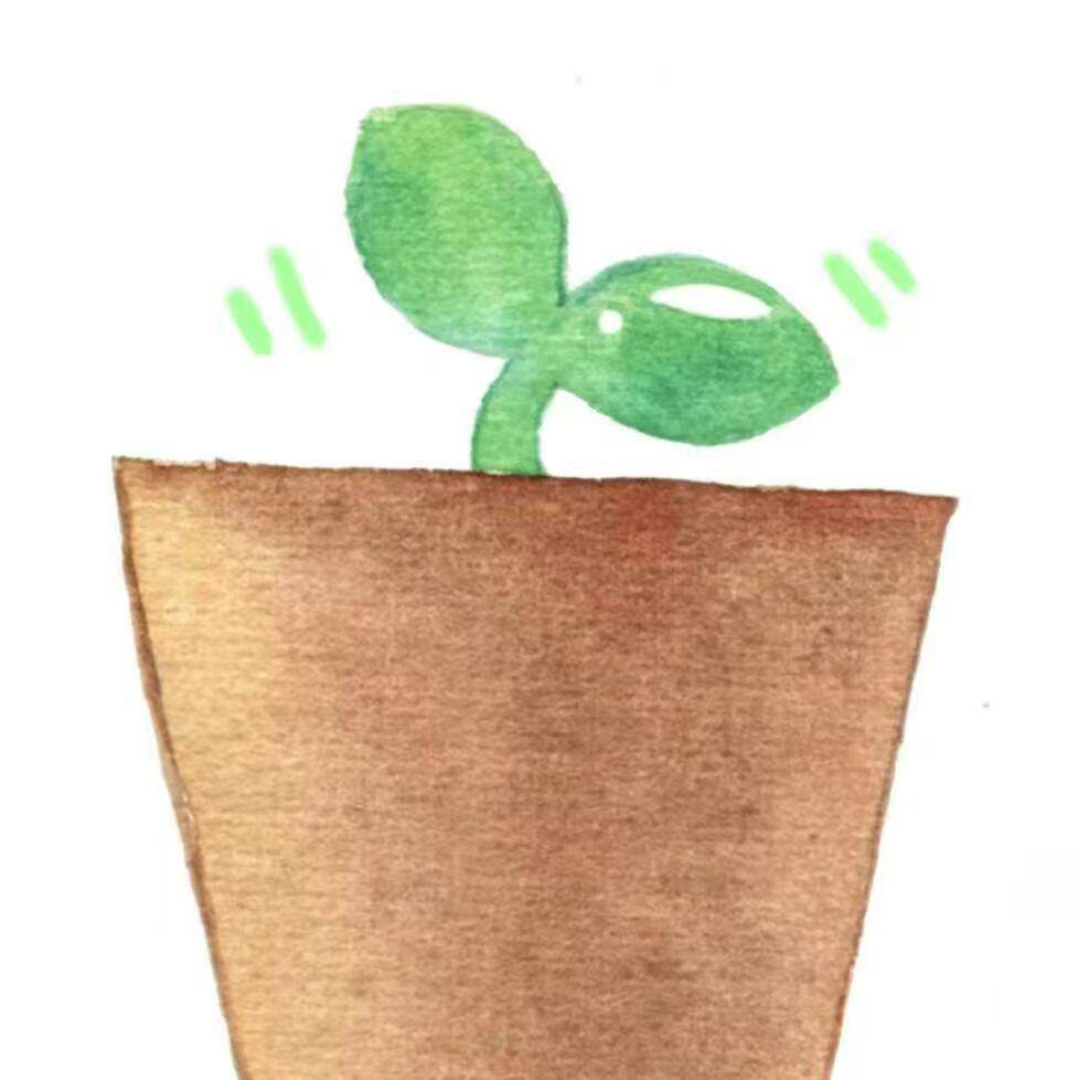 柠檬不加酸