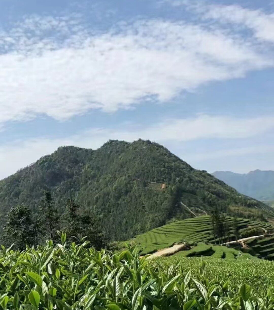 农家乐一乐粤北特产