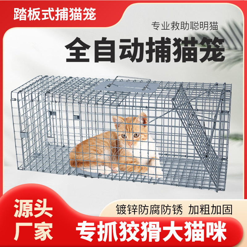 盛德基地