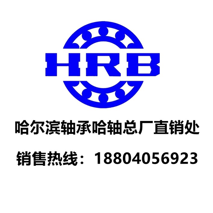 哈尔滨轴承哈轴总厂直销处