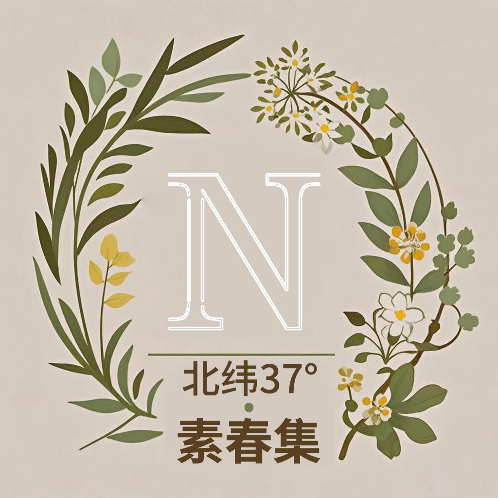 北纬37度I素春集轻奢家居