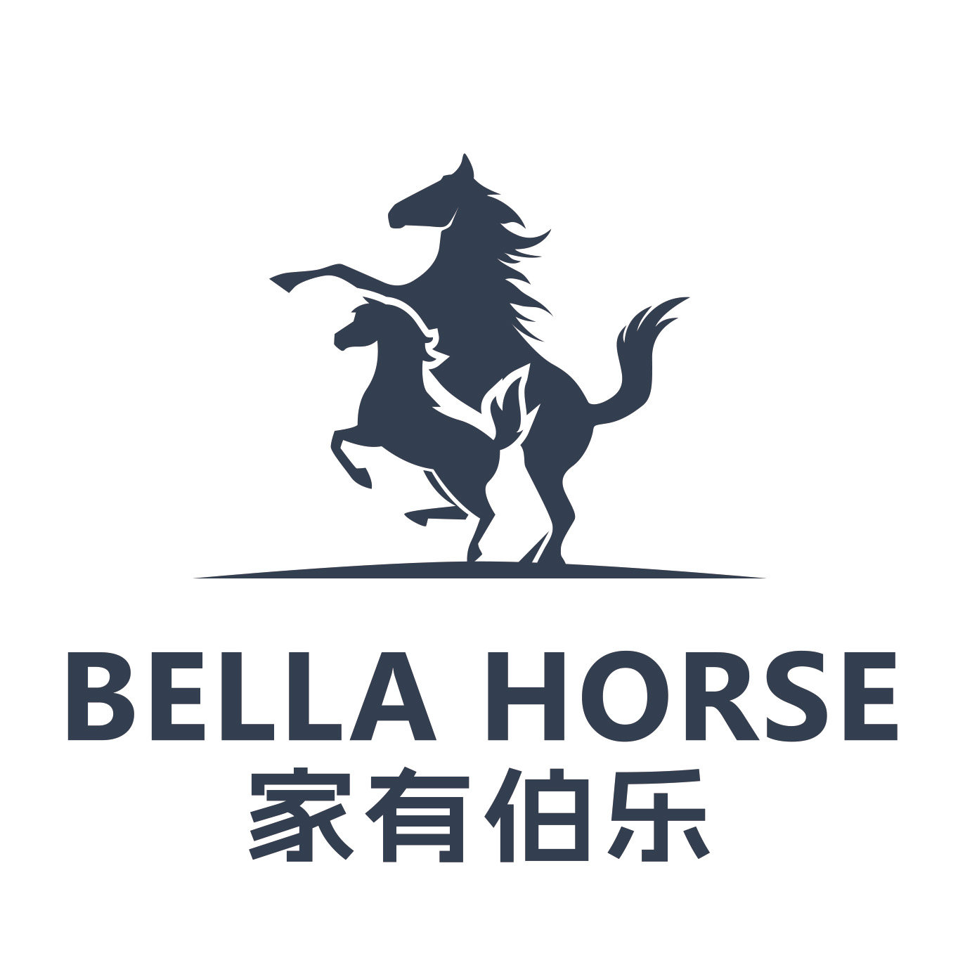 Bella Horse家有伯乐