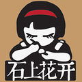 石上花开