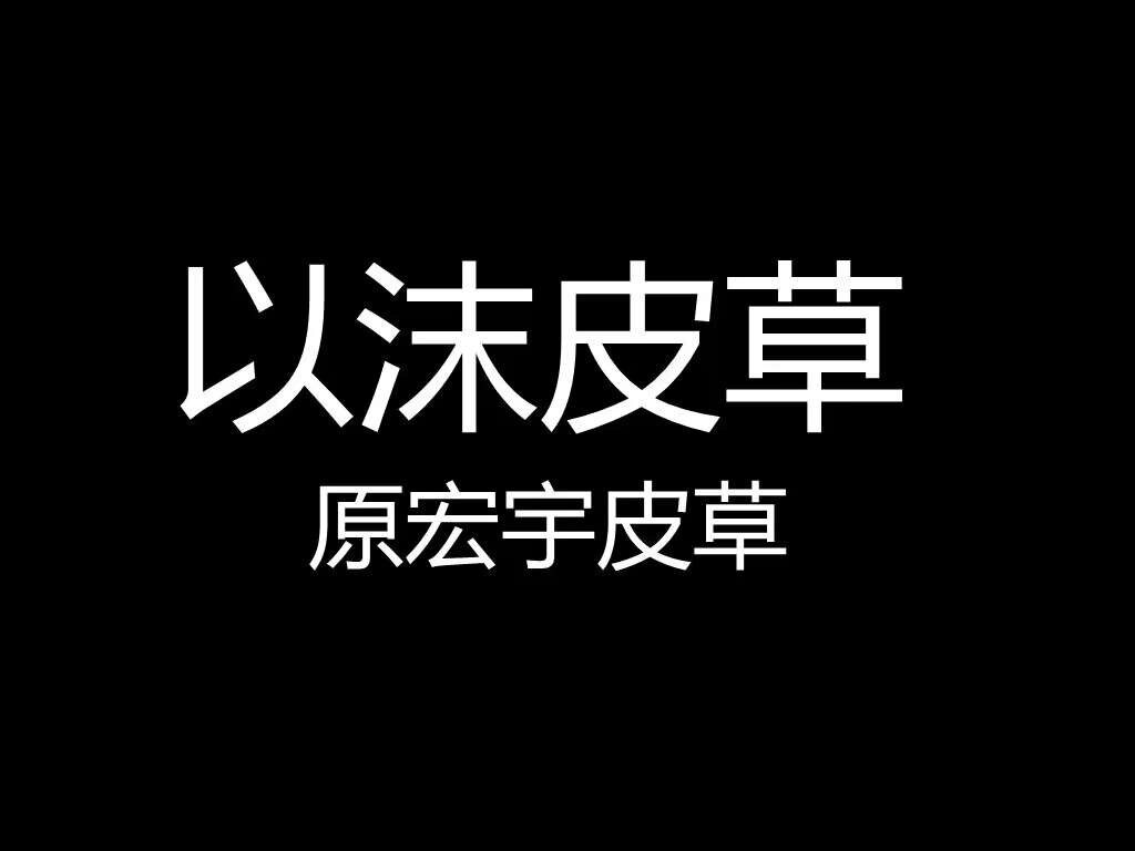 以沫皮草  原宏宇皮草行