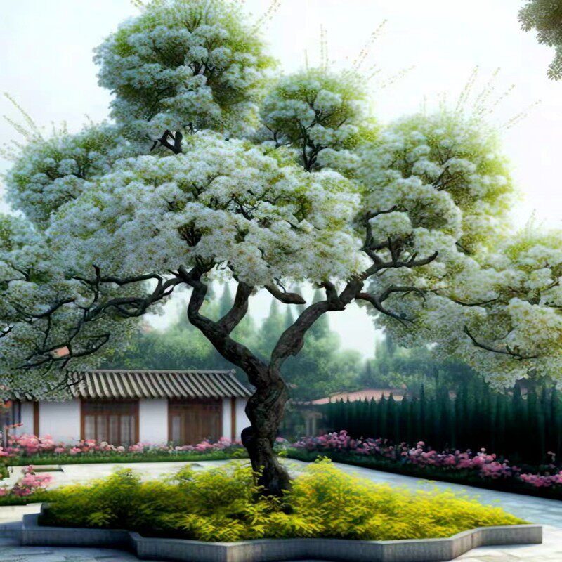 馨苑花卉庭院绿化