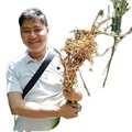 玲源地产药行