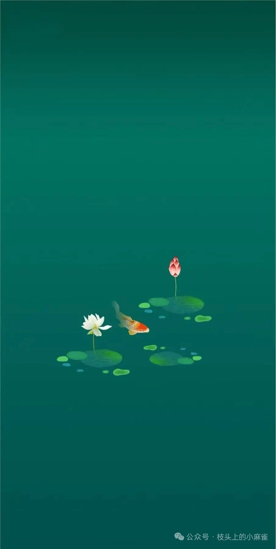 腾丰鱼苗场