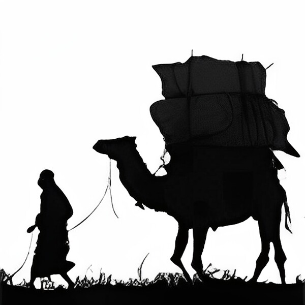 Silk Road百货