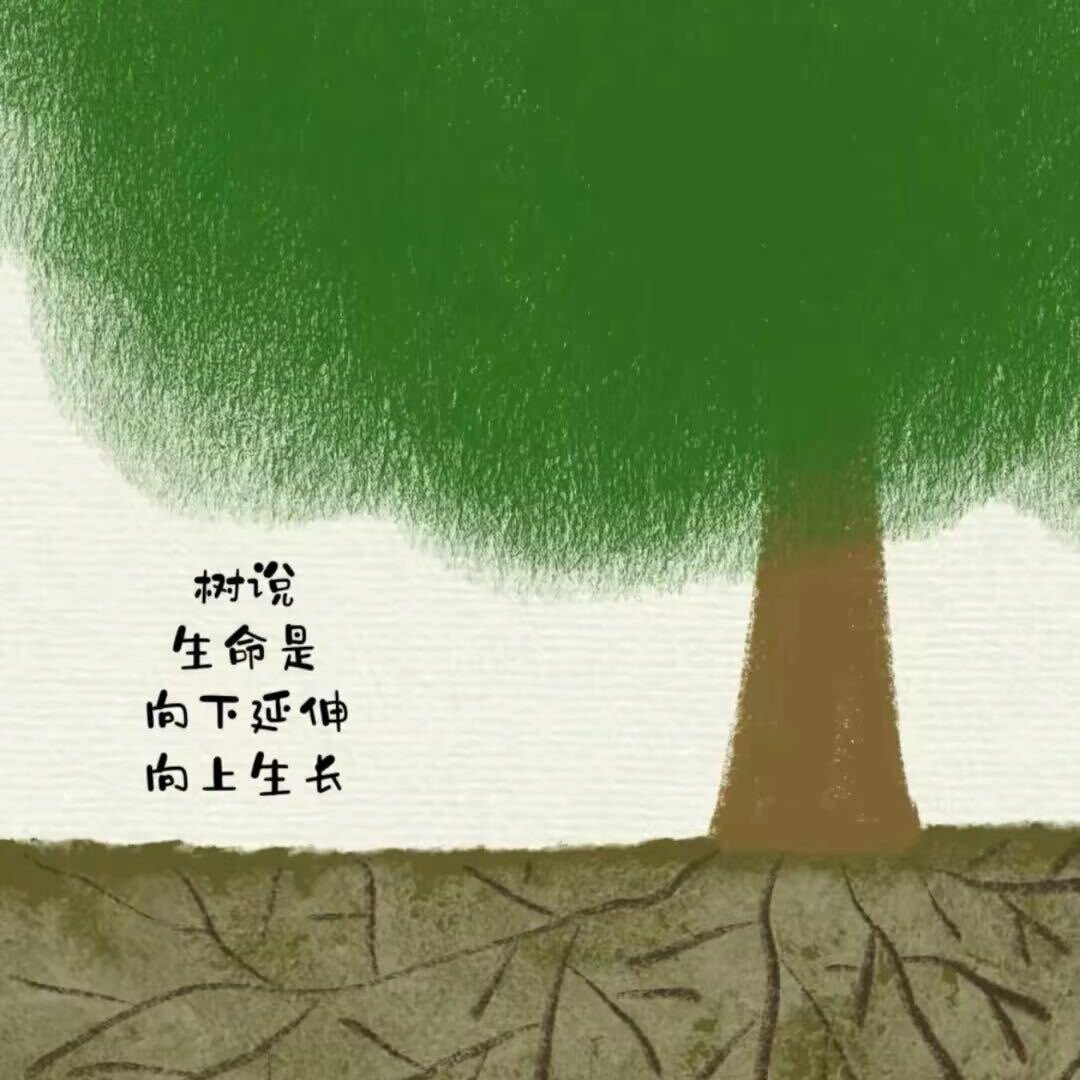 心雨教辅图书企业店