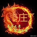 庄容电子(深圳)商行
