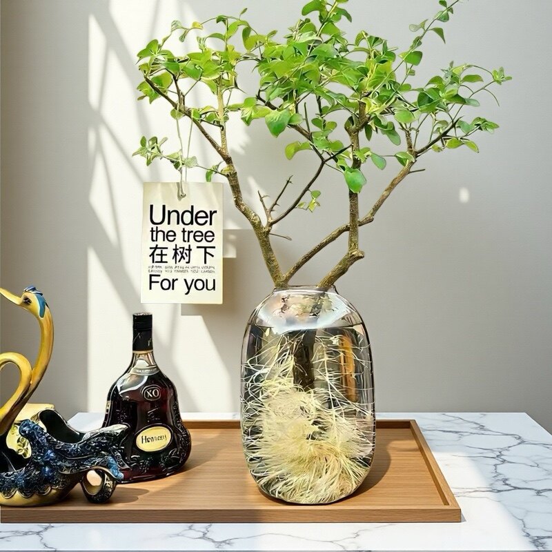 花香绿洲