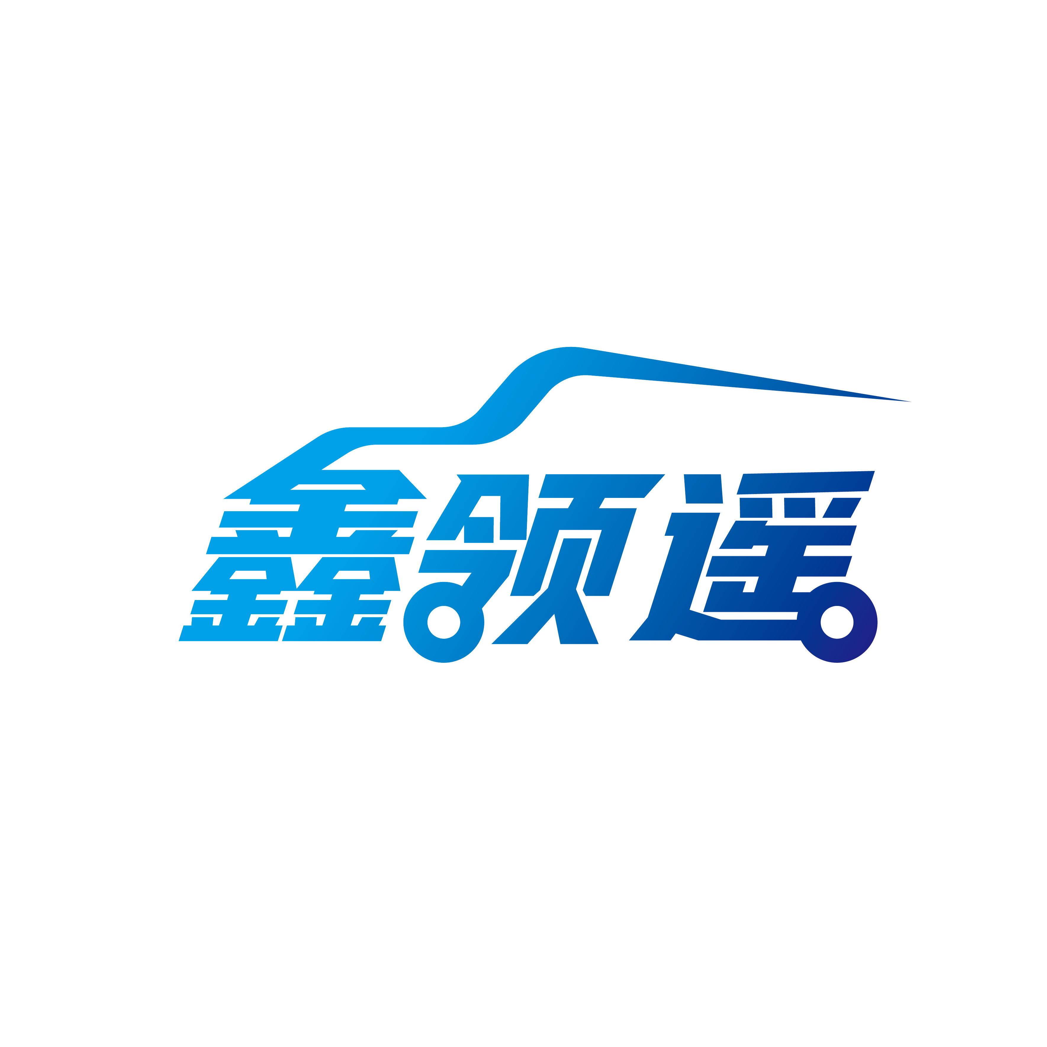 河南领遥电子科技