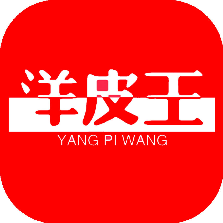 洋皮王旗舰店