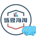 盛夏海淘 店铺LOGO