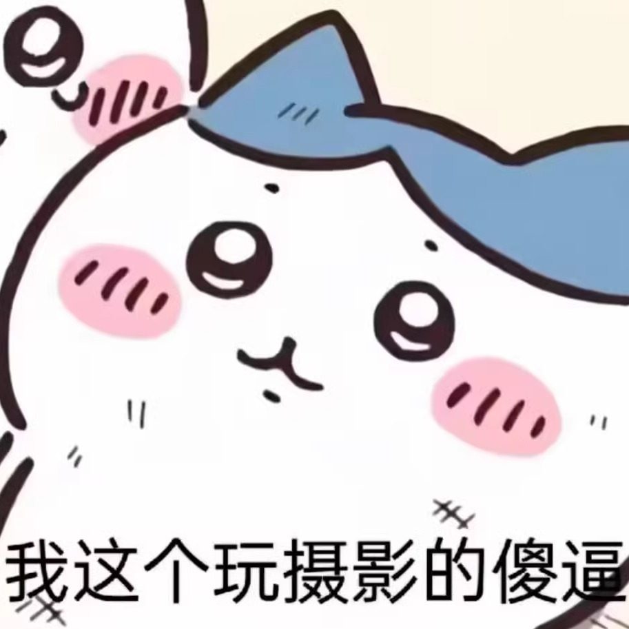 白山茶摄影耗材
