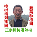 刘建国正宗樟树港辣椒种植园1店