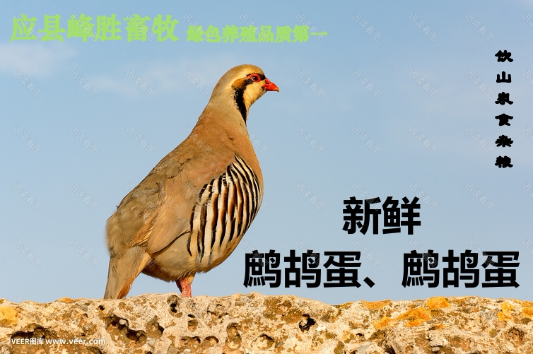 应县峰胜家庭农场
