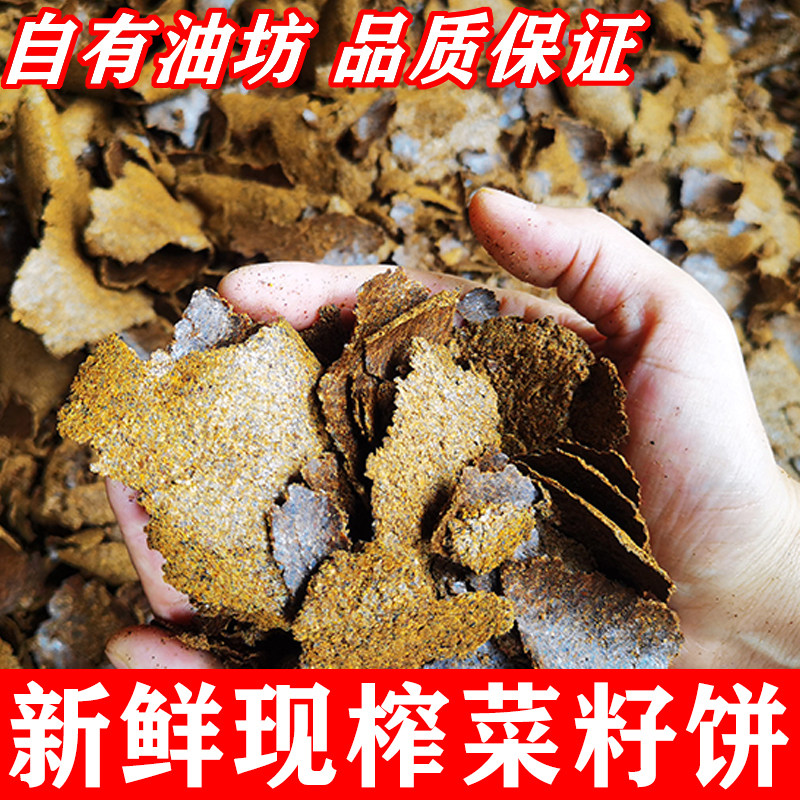 菜饼王企业店企业店