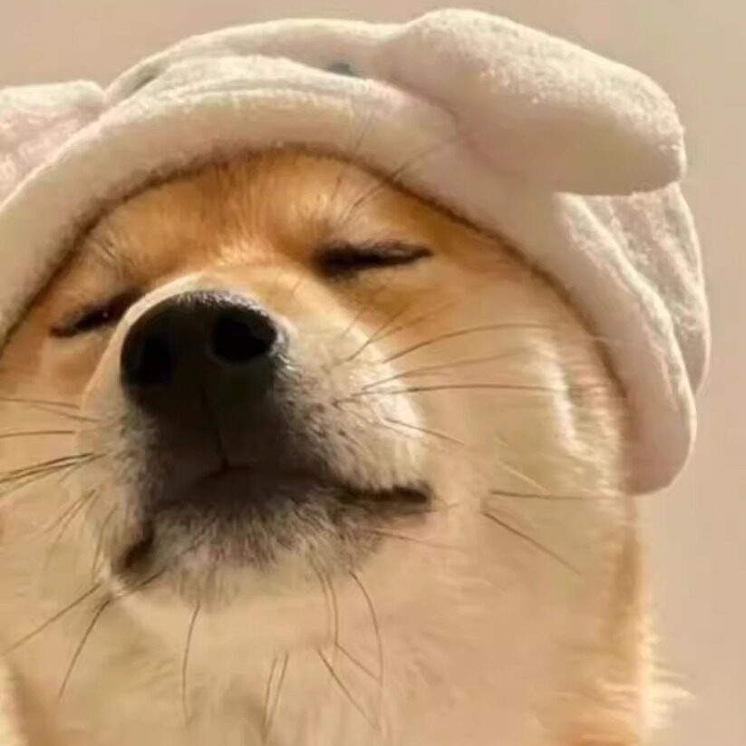 系kk呀