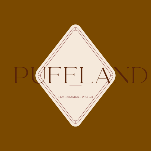 芙来puffland