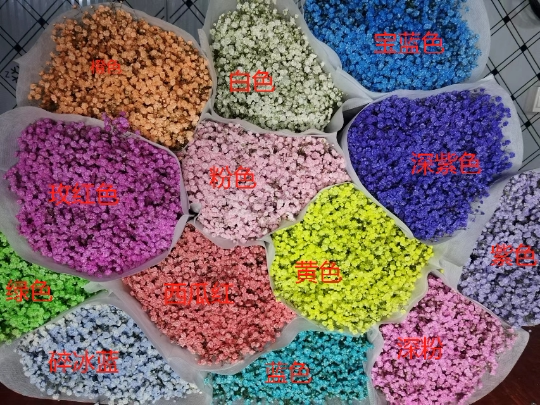 花花四季红花卉园艺店