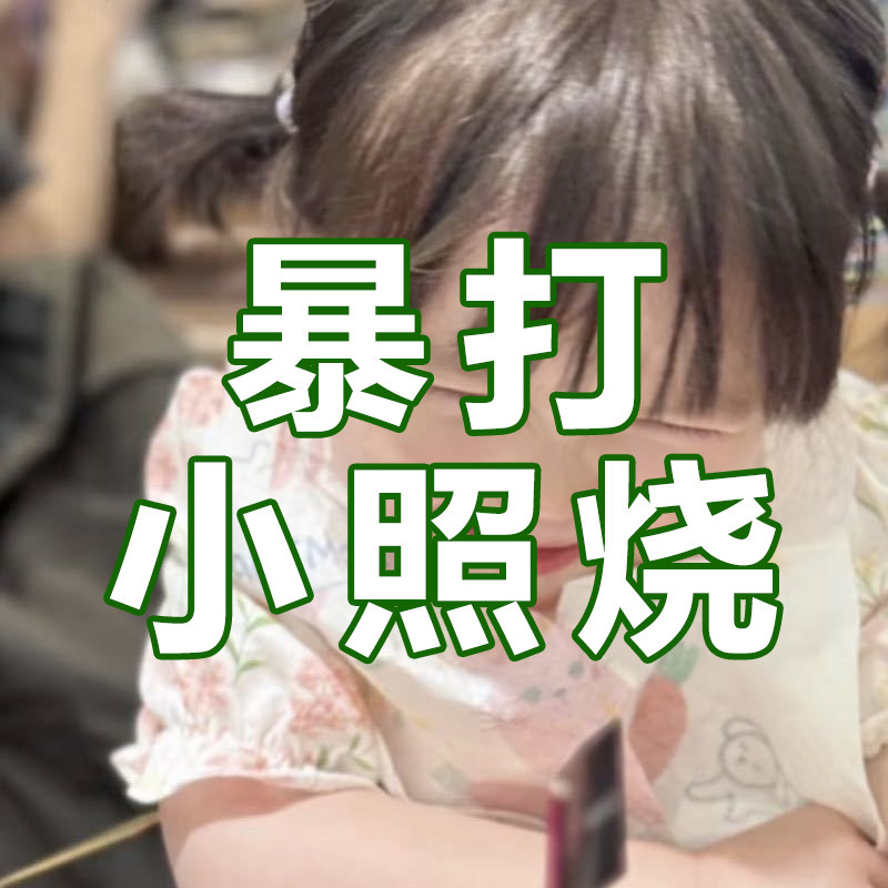 暴打小照烧