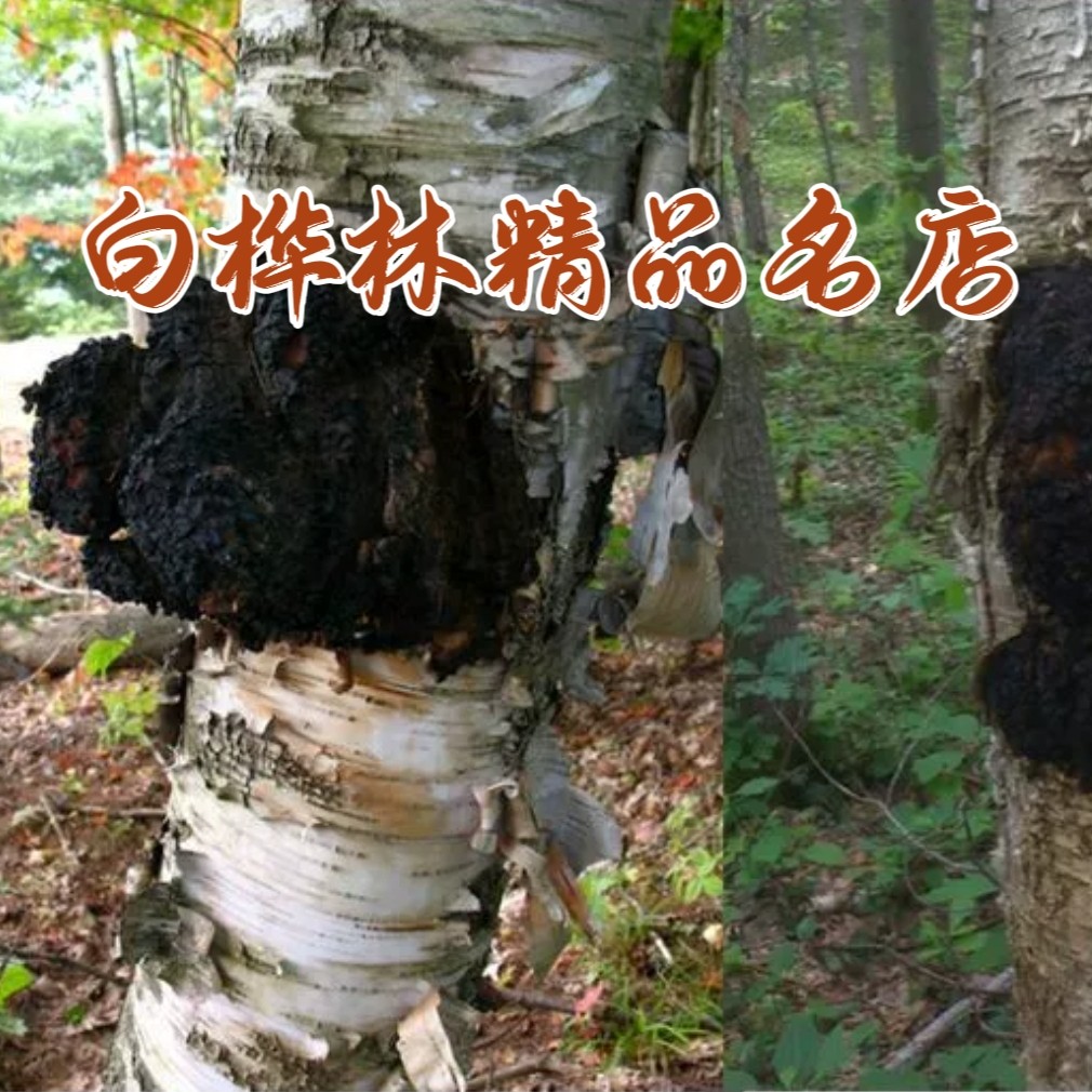 白桦林精品名店