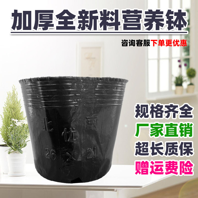 亮明楼旗舰店