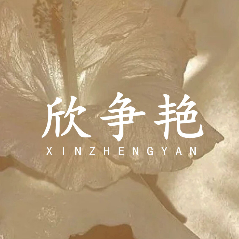 欣争艳旗舰店