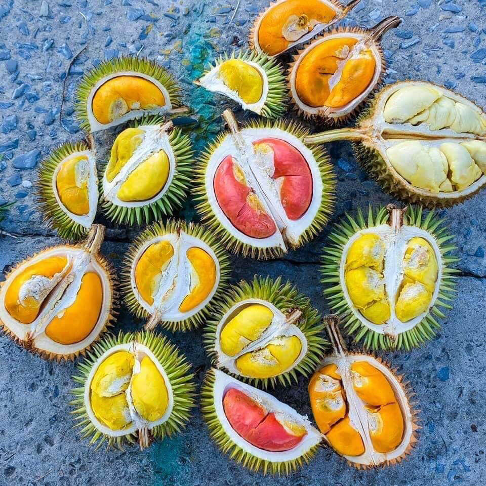 果醇旺旗舰店