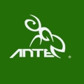 ANTE 安特品牌店