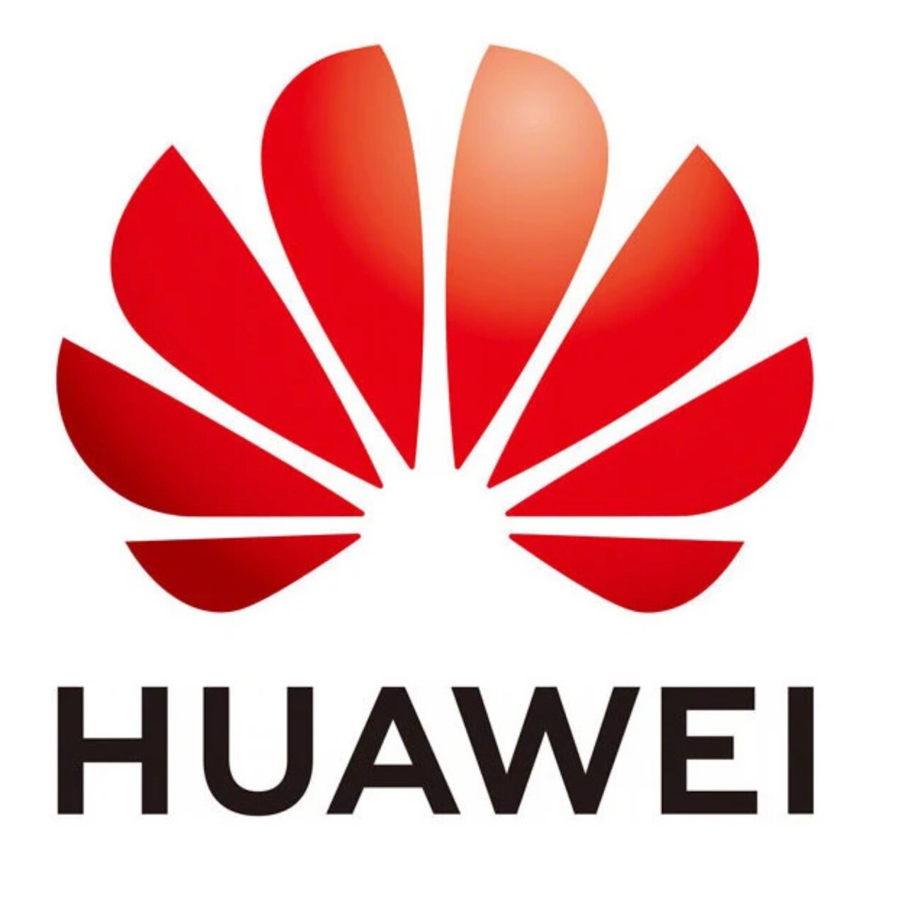 华为智慧自营店 店铺LOGO