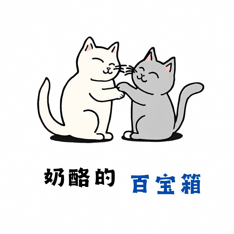 奶酪的百宝箱