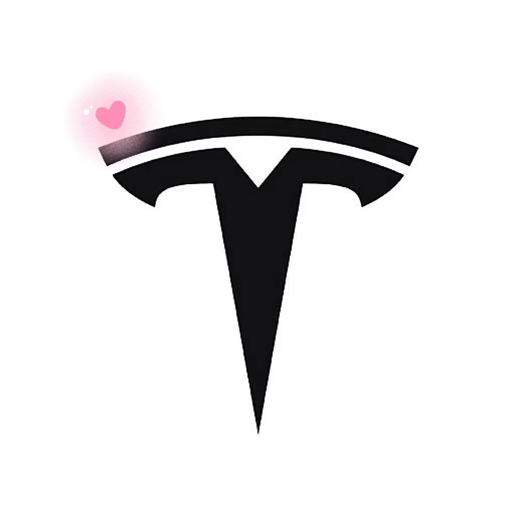 TESLA特斯拉配件销售店