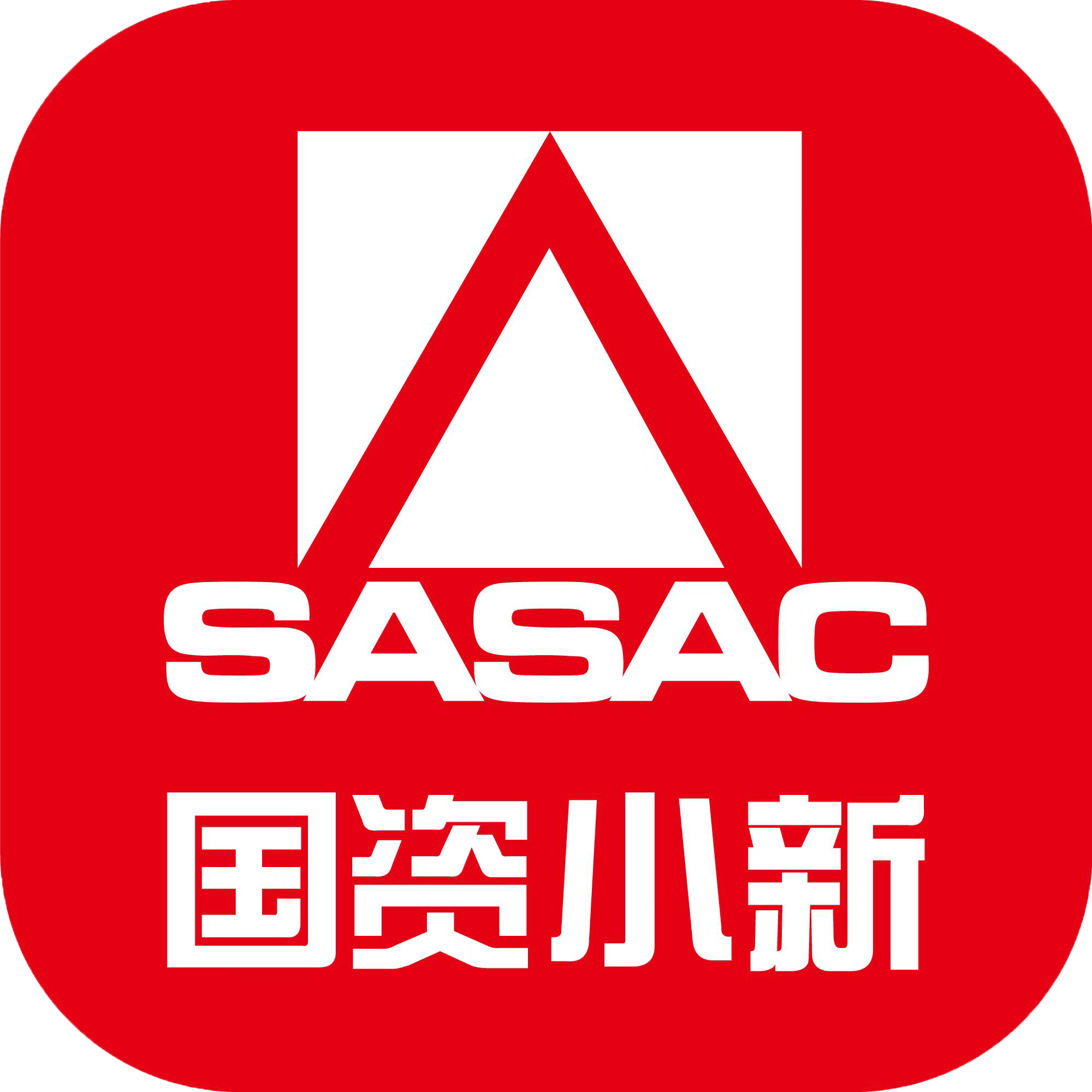 国资小新