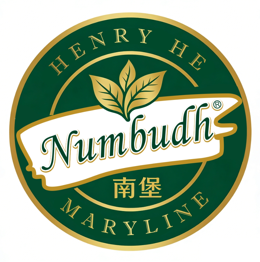 南堡旗舰店 店铺LOGO