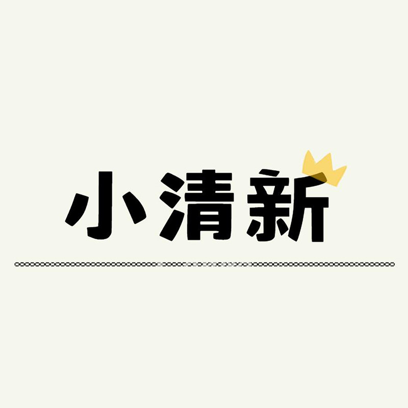 小清新皮草 店铺LOGO