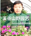 Samsung养花匠的花园 店铺LOGO